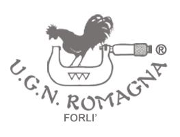 Ugn Romagna