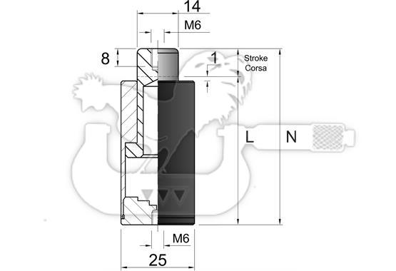 Cilindro MIC